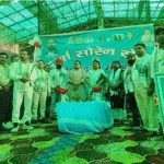 Sita Soren, Rajya Sabha
