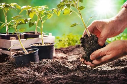 Gardening Tips