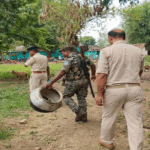 Jharkhand, illegal liquor, excise department, raid, Jawa Mahua