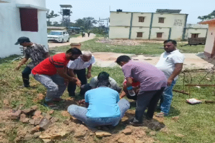 World Environment Day, BJP Thakurgaon Mandal