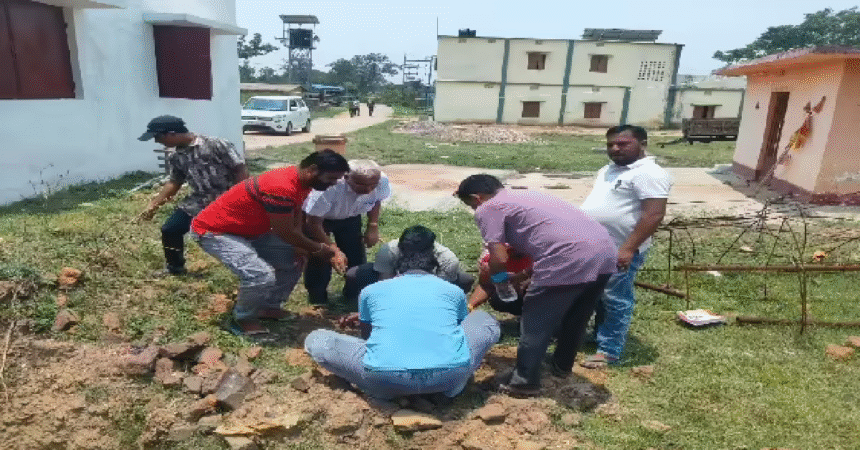 World Environment Day, BJP Thakurgaon Mandal