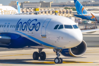 indigo
