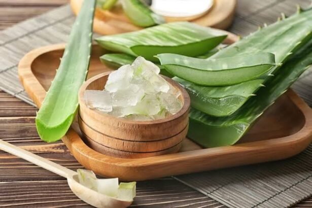 Aloe Vera Benefits