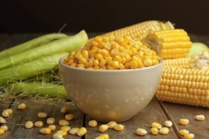 Corn Benefits