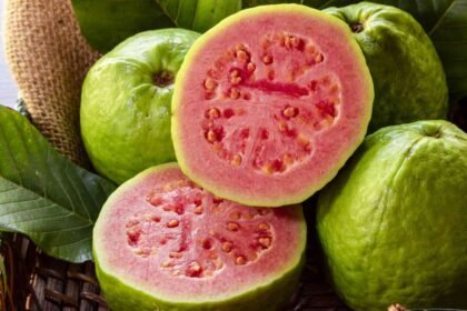 Guava Benefits